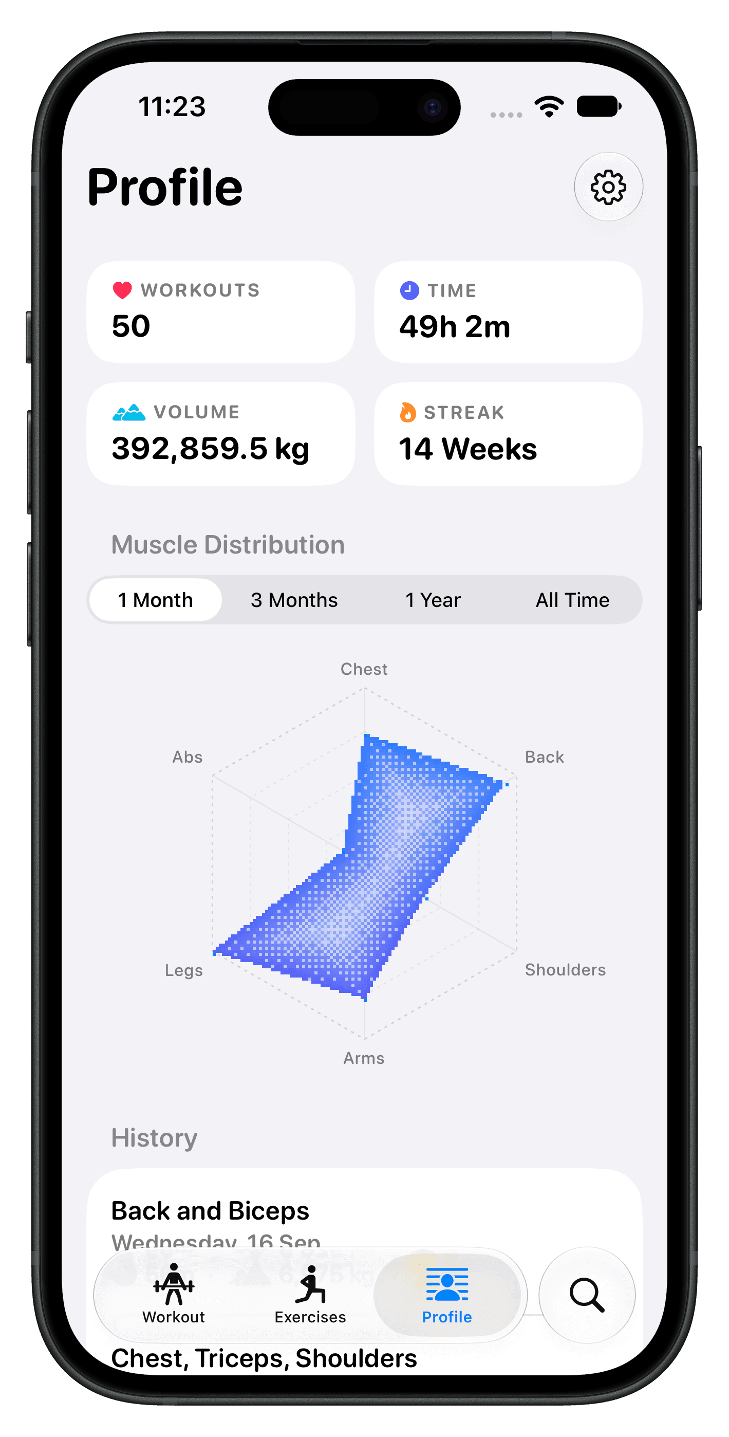Profile with workout stats and muscle distribution